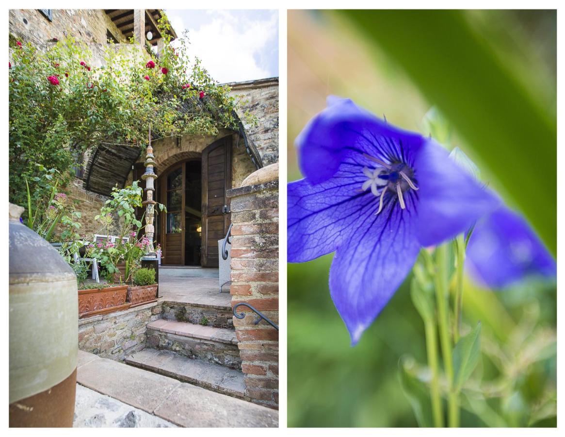 Villa Le Rose di Montagnana San Gimignano Esterno foto