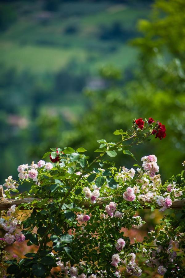 Villa Le Rose di Montagnana San Gimignano Esterno foto